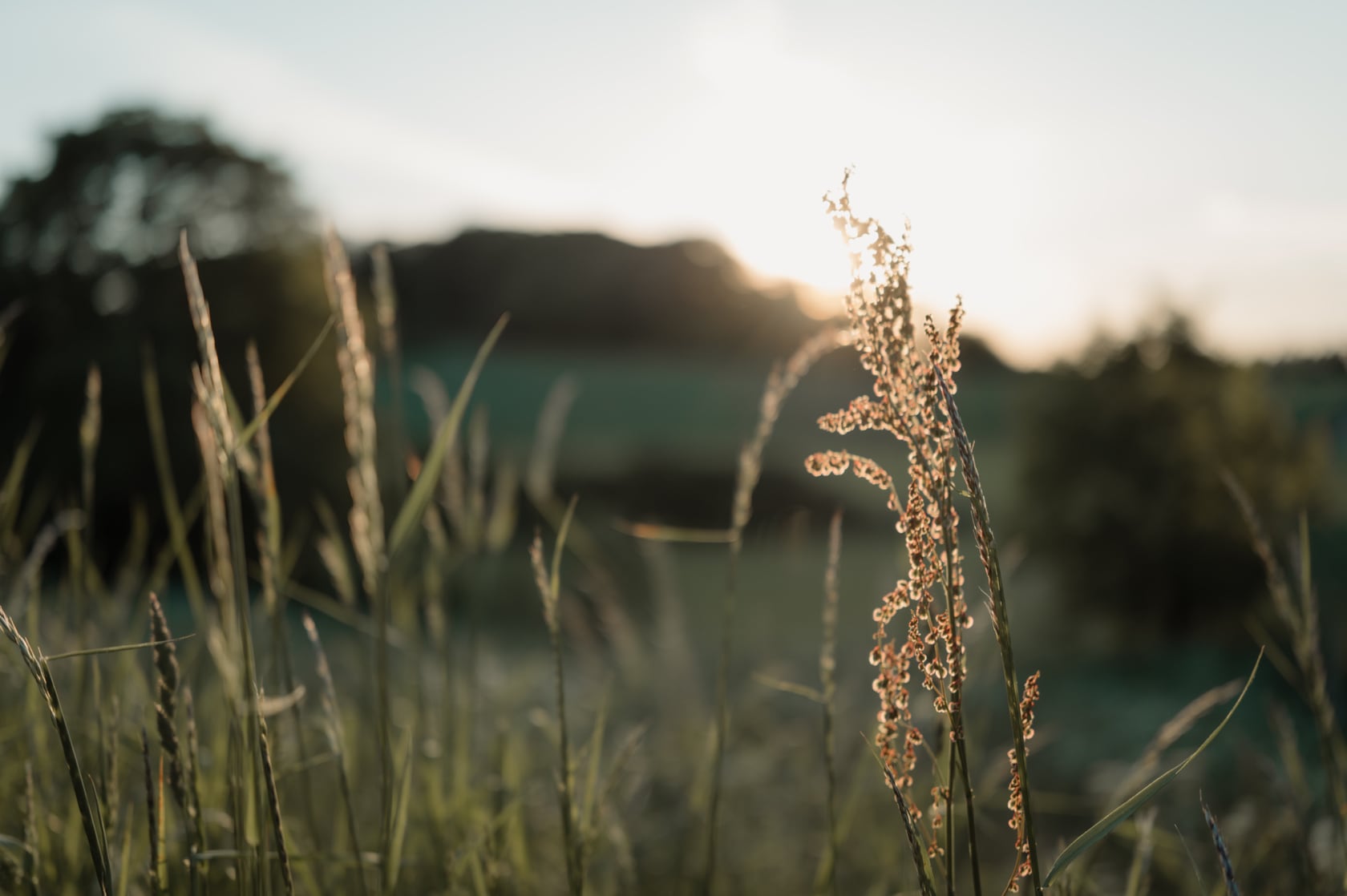 Ganzheitliche Medizin Individualmedizin